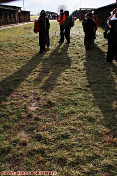 IMG_ (10870)